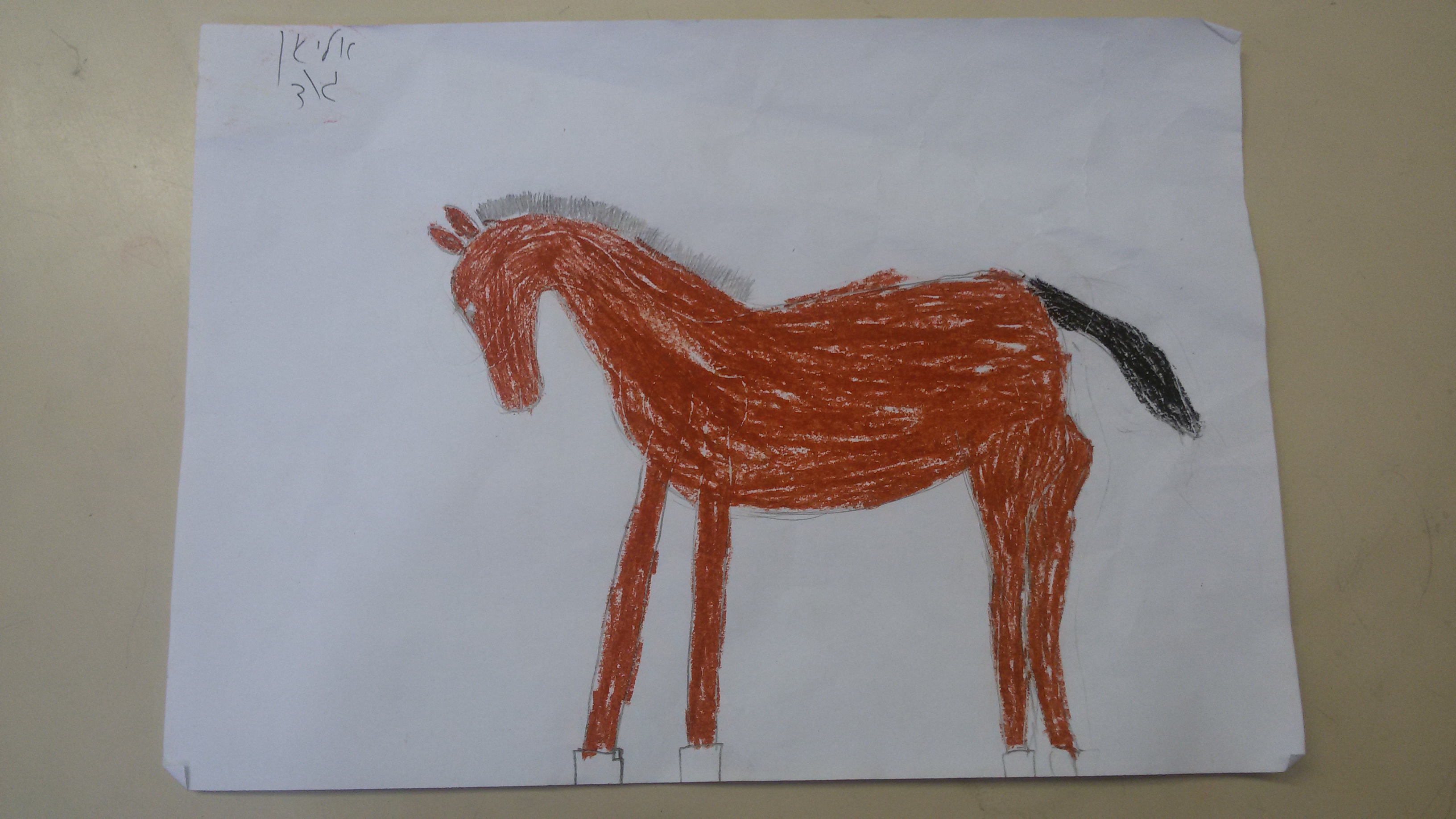 ספר הלמה ומדוע של כיתה ג’3 by omer berko - Illustrated by כיתה ג