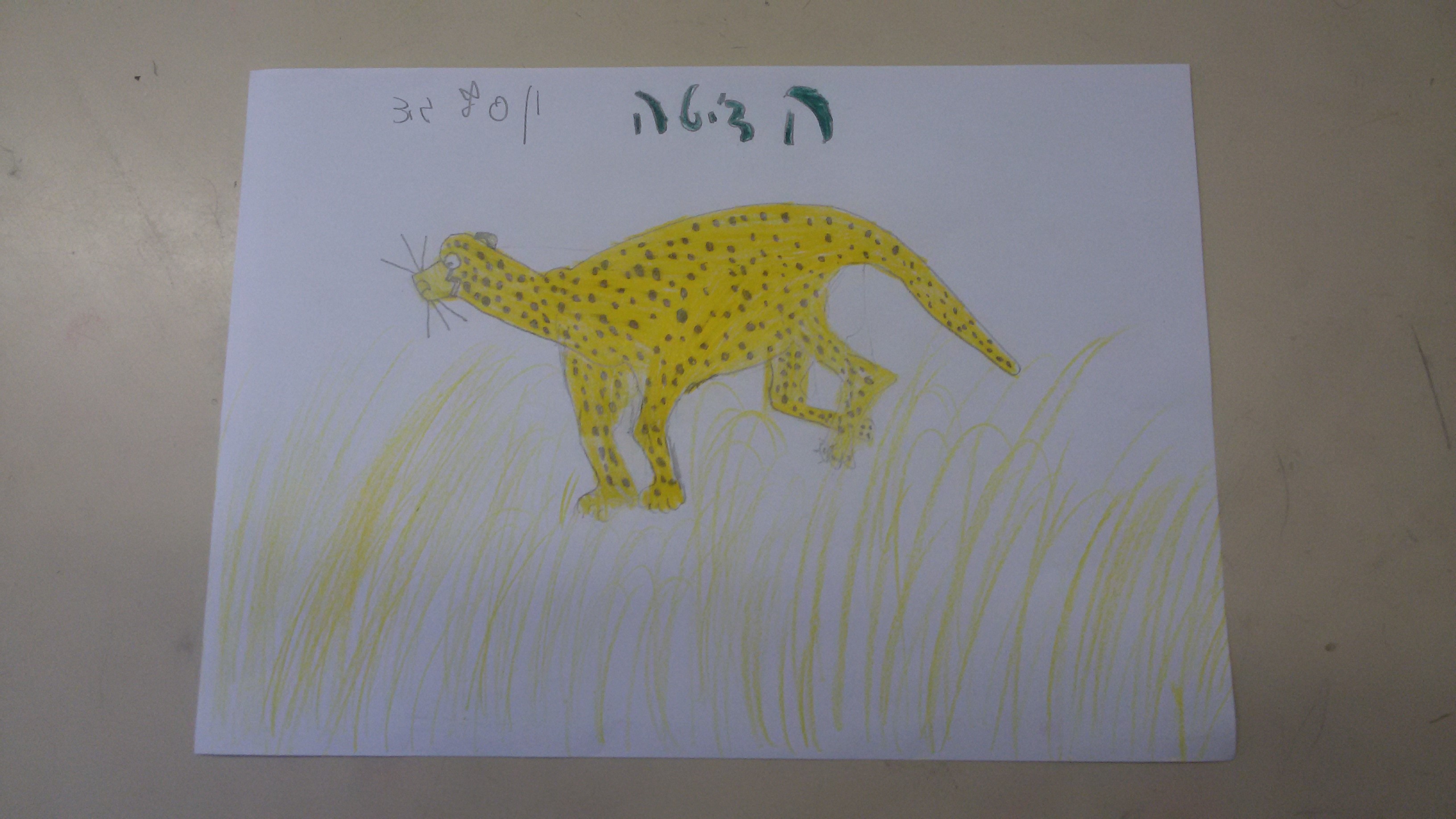 ספר הלמה ומדוע של כיתה ג’3 by omer berko - Illustrated by כיתה ג