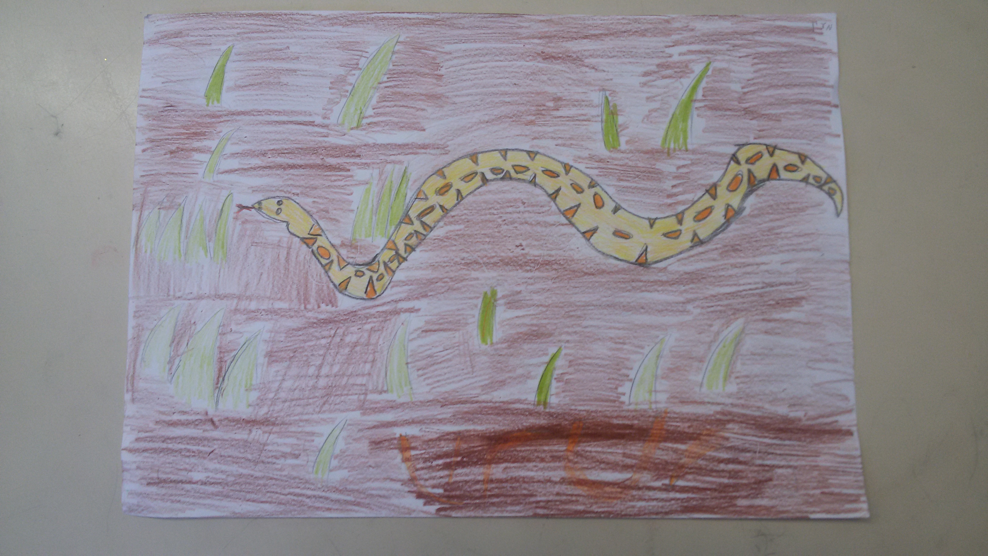 ספר הלמה ומדוע של כיתה ג’3 by omer berko - Illustrated by כיתה ג