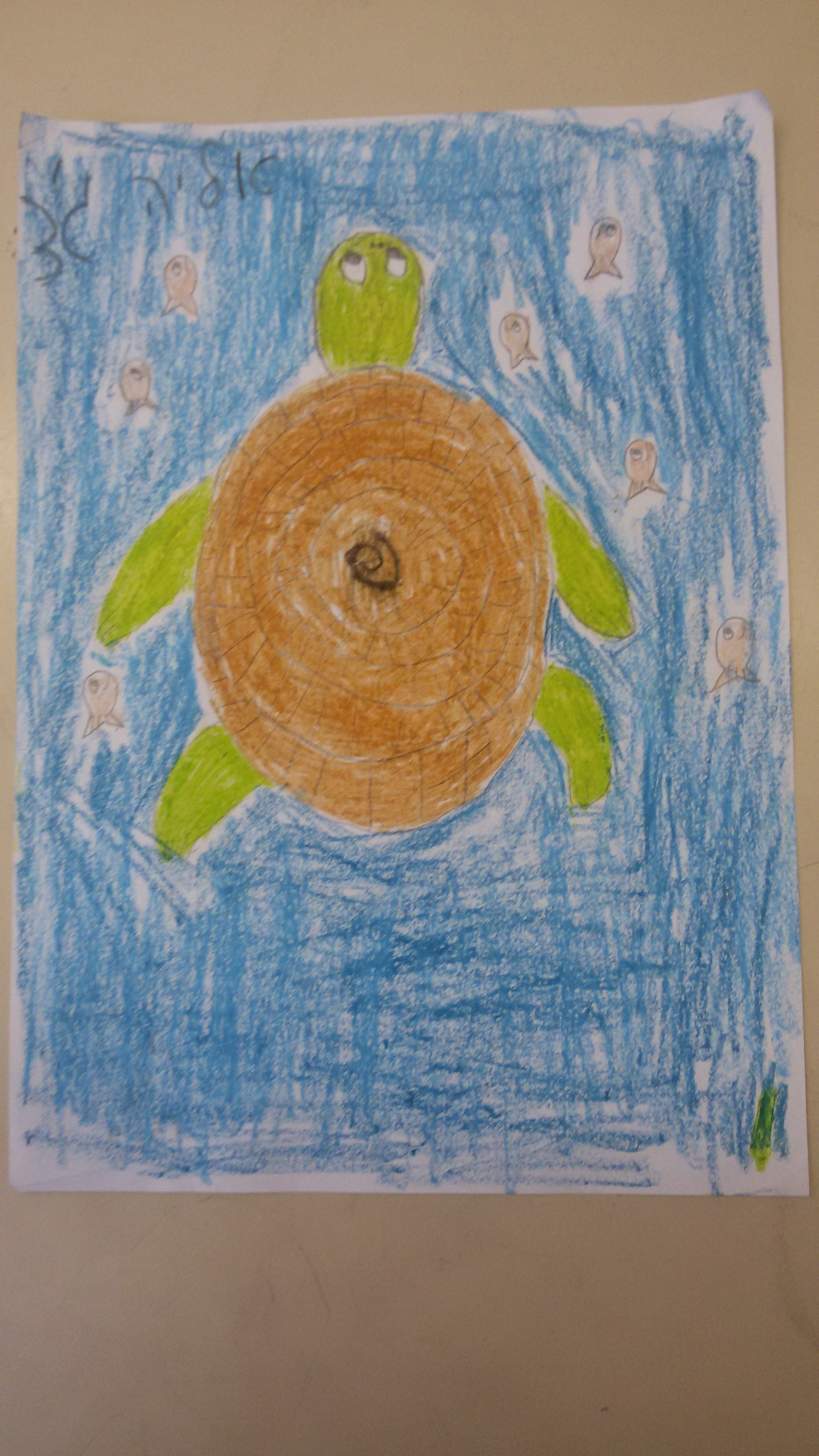 ספר הלמה ומדוע של כיתה ג’3 by omer berko - Illustrated by כיתה ג