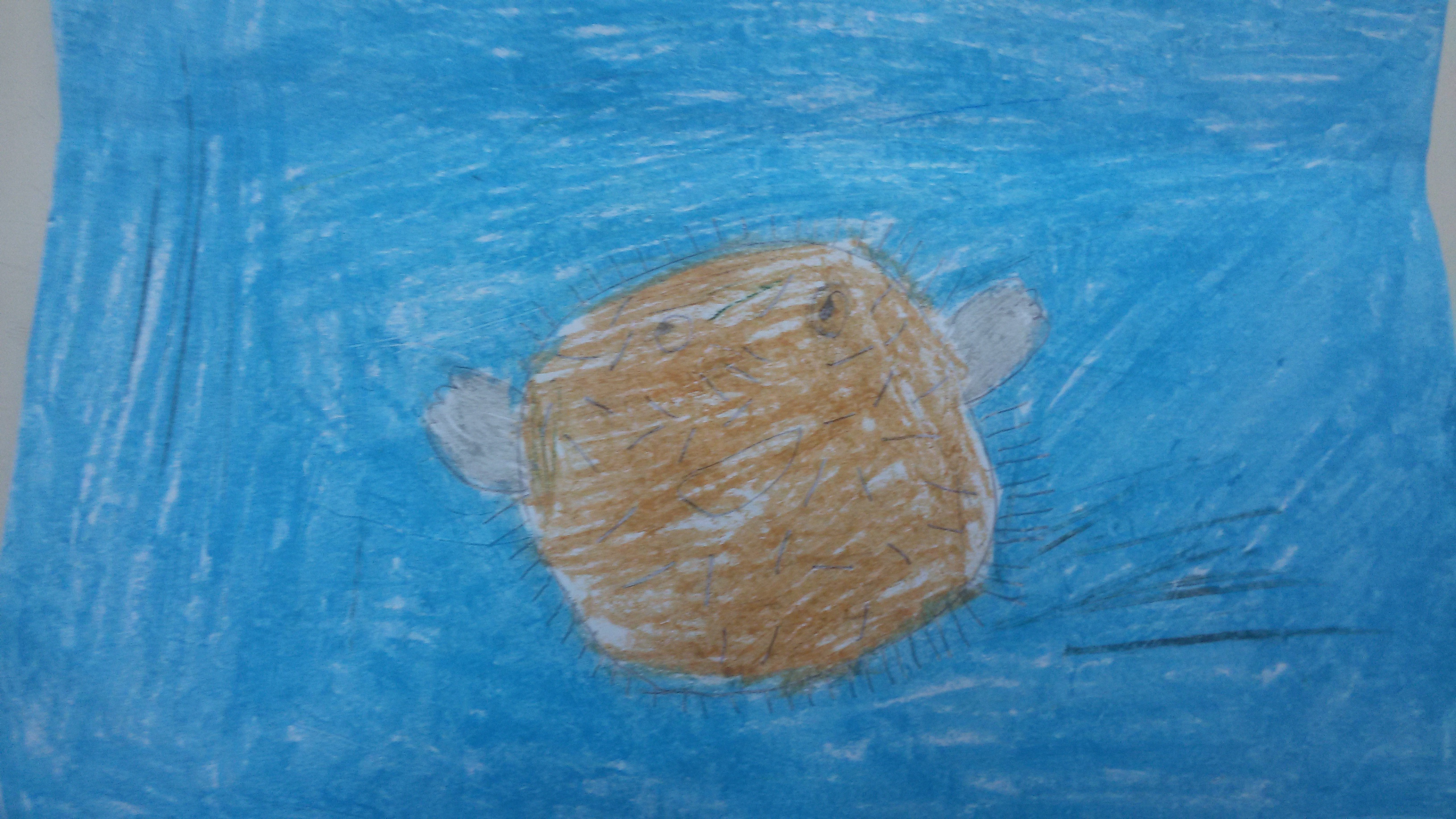 ספר הלמה ומדוע של כיתה ג’3 by omer berko - Illustrated by כיתה ג