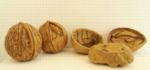 הגינה האדומה זרע-איתי וליאור by neveoz - Ourboox.com