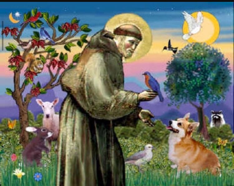 كن مسبحا 2016 باشراف مفتش المدارس الأهلية دكتور هاني فراج by rouhi - Illustrated by مدرسة راهبات الفرنسيسكان-روحي بواردي - Ourboox.com