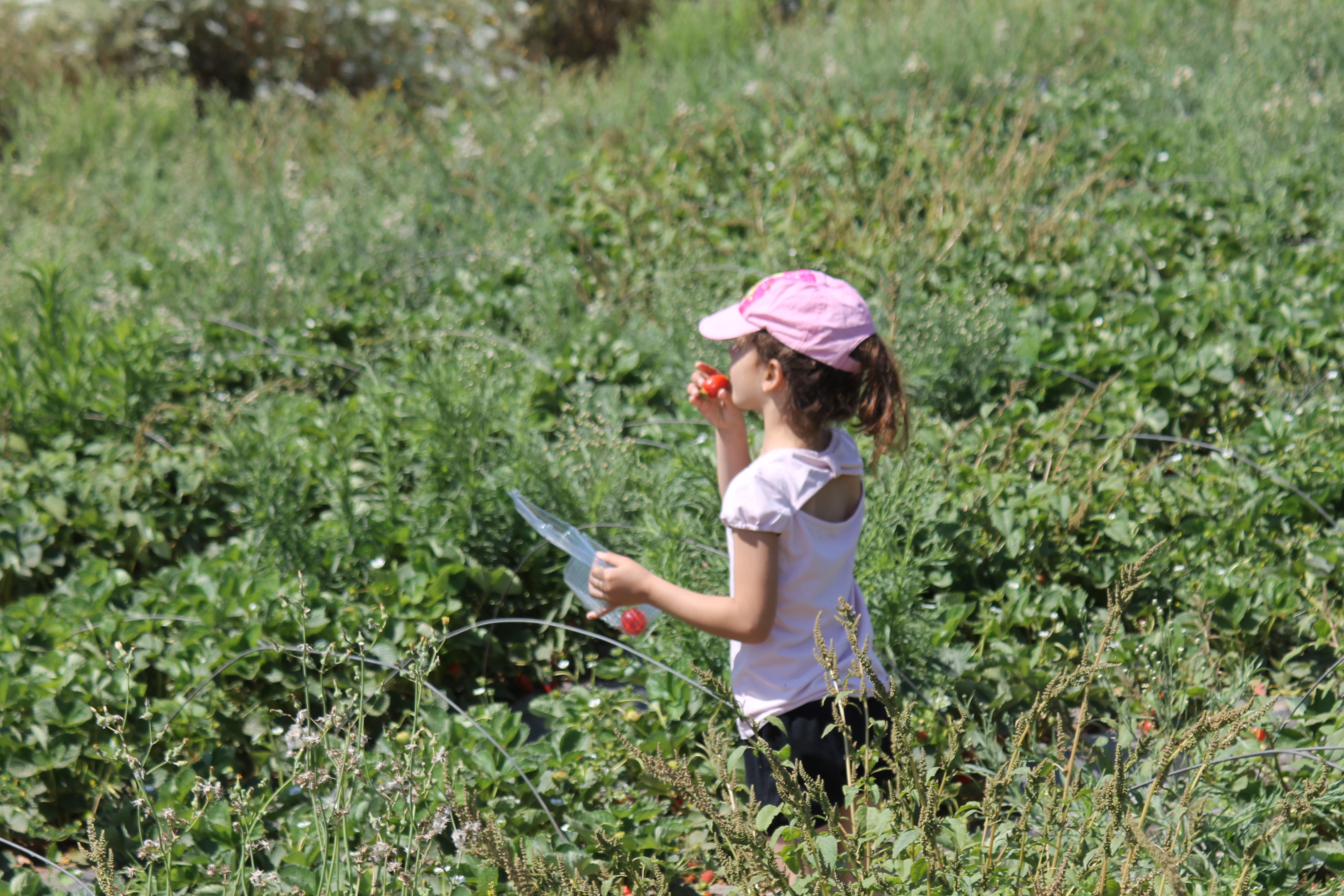 אמילי שלי by romi - Ourboox.com