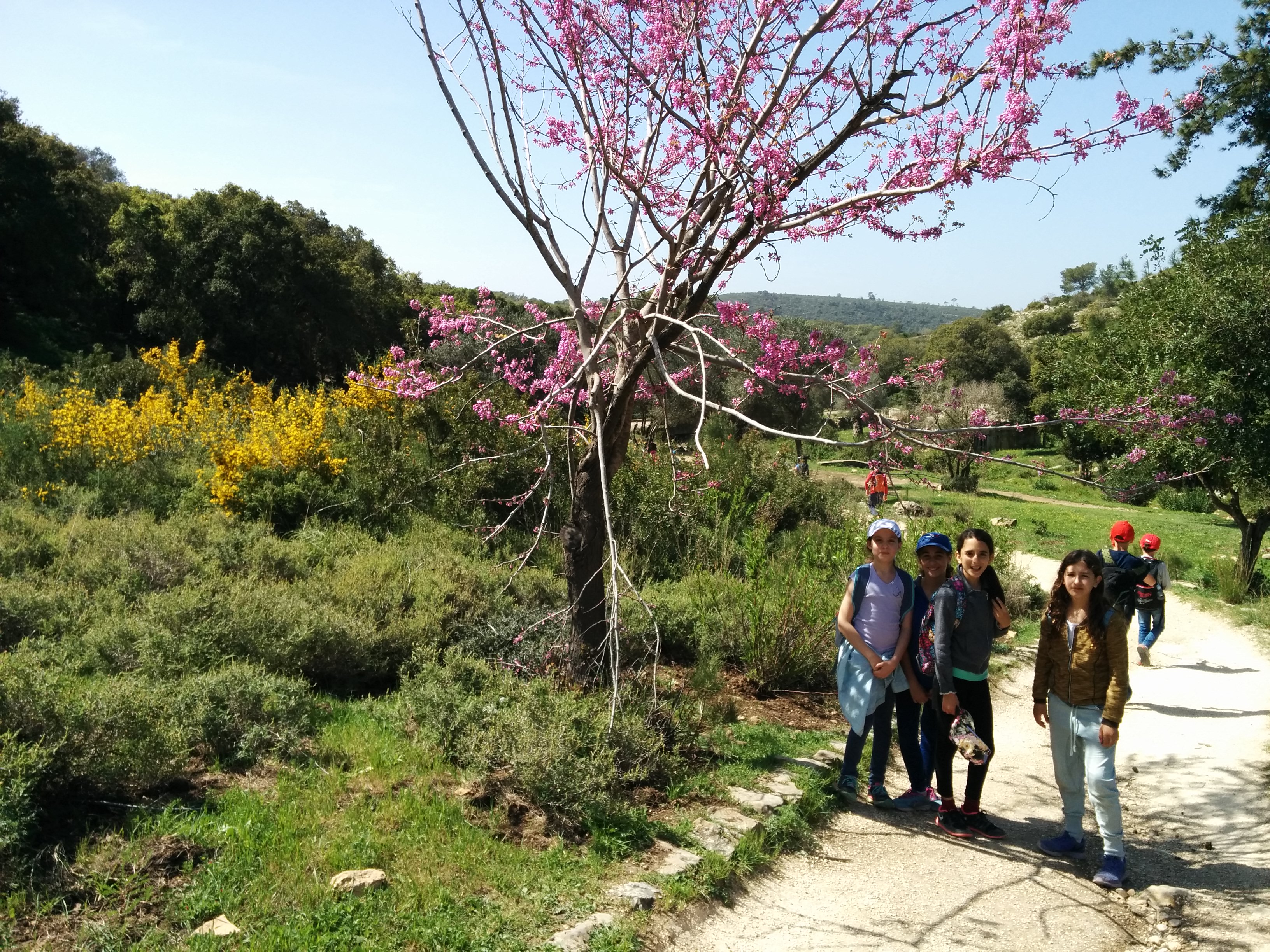 הטיול שלנו לנחל אלון – מרץ 2016. by michal - Ourboox.com