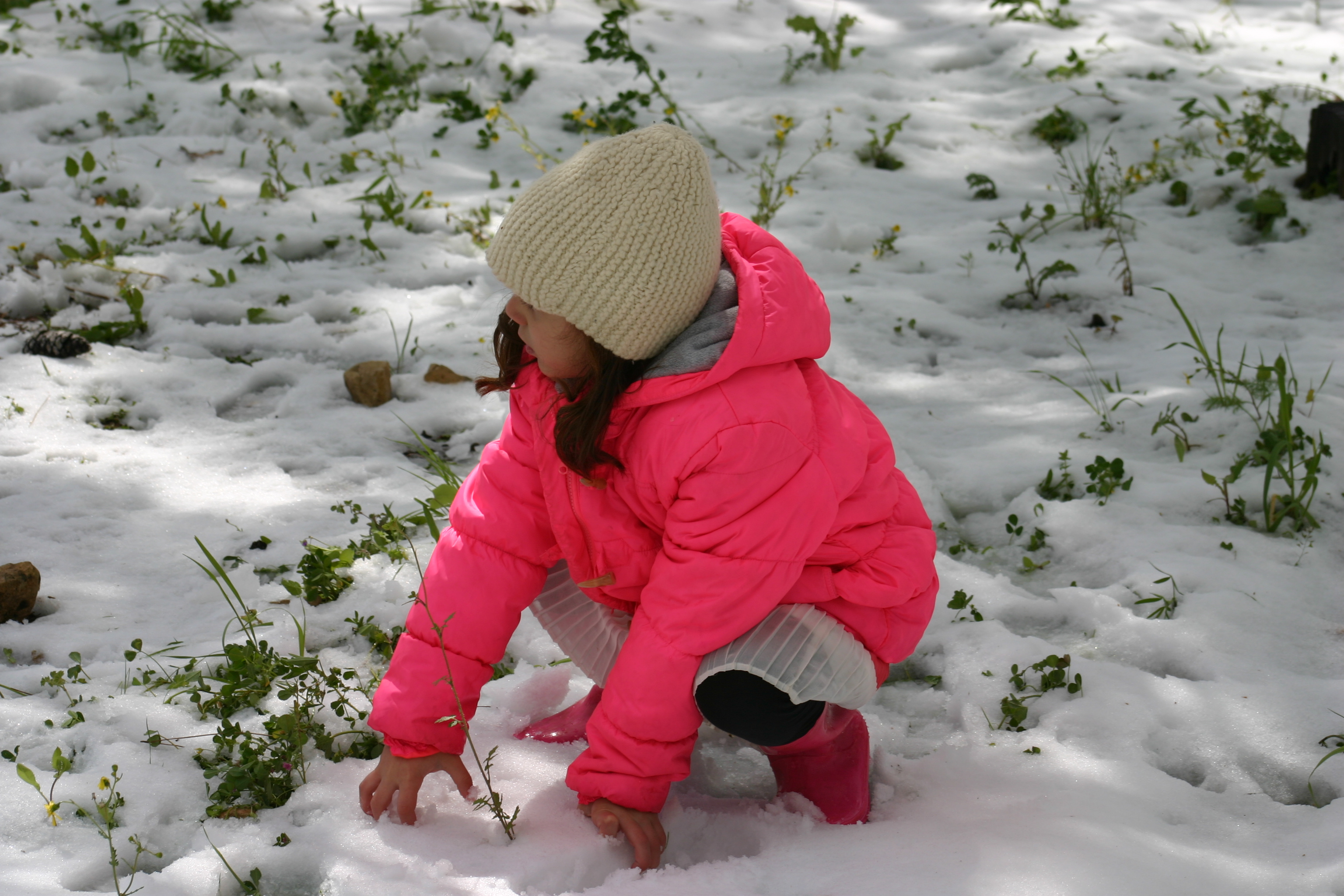 אמילי שלי by romi - Ourboox.com