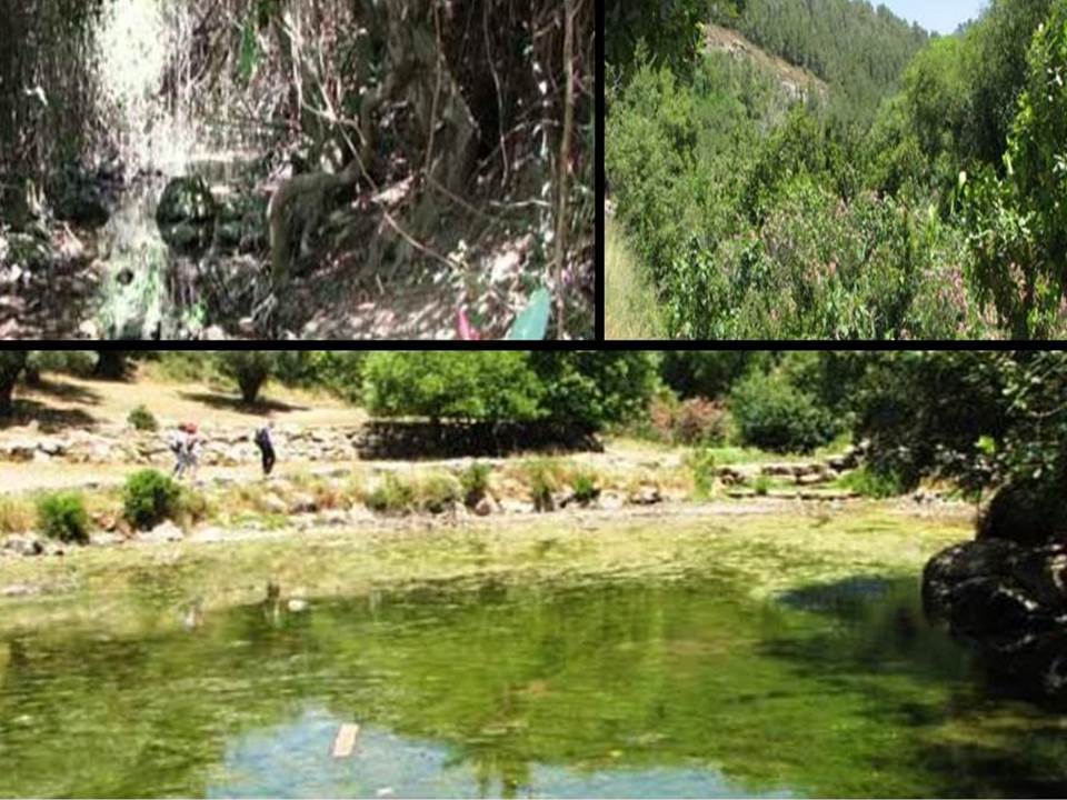 הכרמל by tomer friedler - Ourboox.com