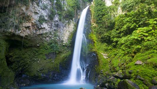 Amazing Rain Forest by lucas l - Ourboox.com