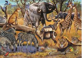 African Savanna by spencer k - Ourboox.com