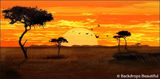 African Savanna by spencer k - Ourboox.com