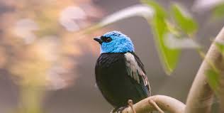 Ecosystem by Nathan W. - Ourboox.com