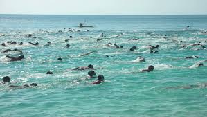 summer by شذا  - Ourboox.com