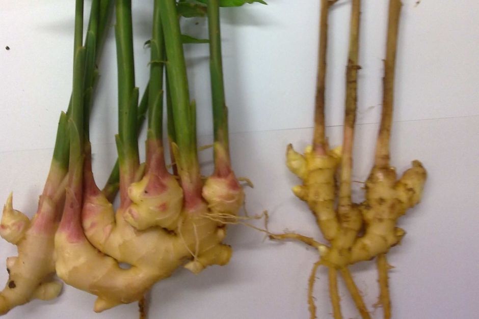 The Amazing Antarctica by Walker k - Ourboox.com