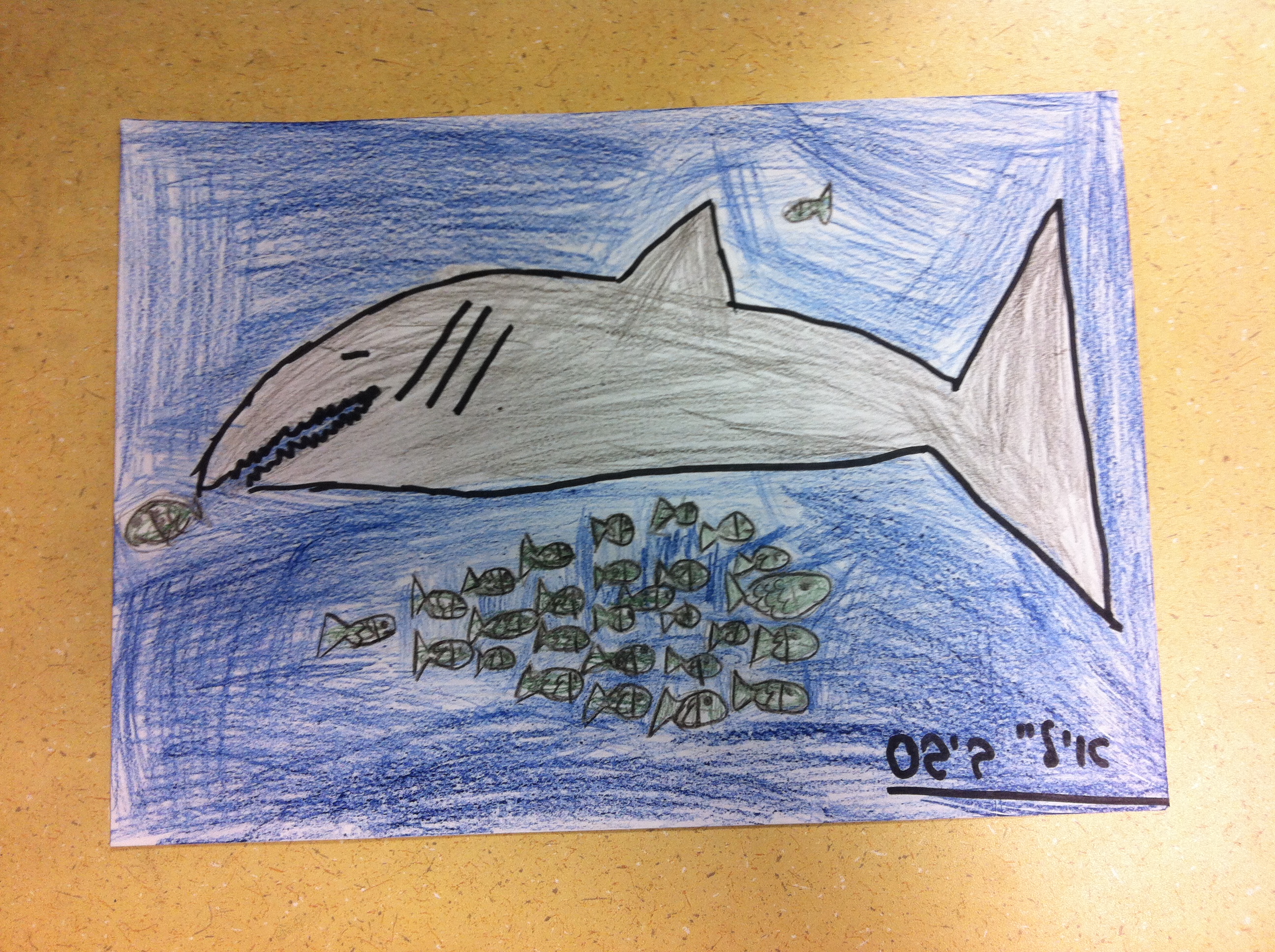 ספר מדוע ולמה של כיתה ג’2 by hagar - Illustrated by תלמידי כיתה ג