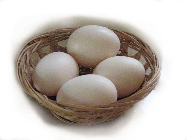 The Fussy Princess by hili berkovich - Ourboox.com