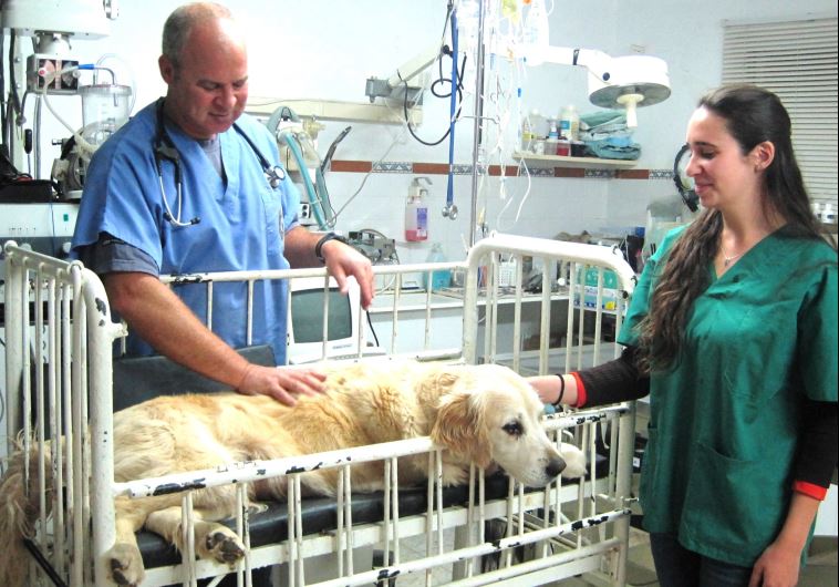 בית יתומים by roey and hadar - Illustrated by הדר דהאן ורועי וודקה - Ourboox.com