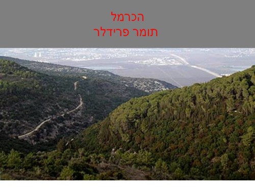 הכרמל by tomer friedler - Ourboox.com