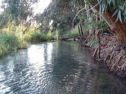 רמת הגולן by dorel shnaiderman - Ourboox.com
