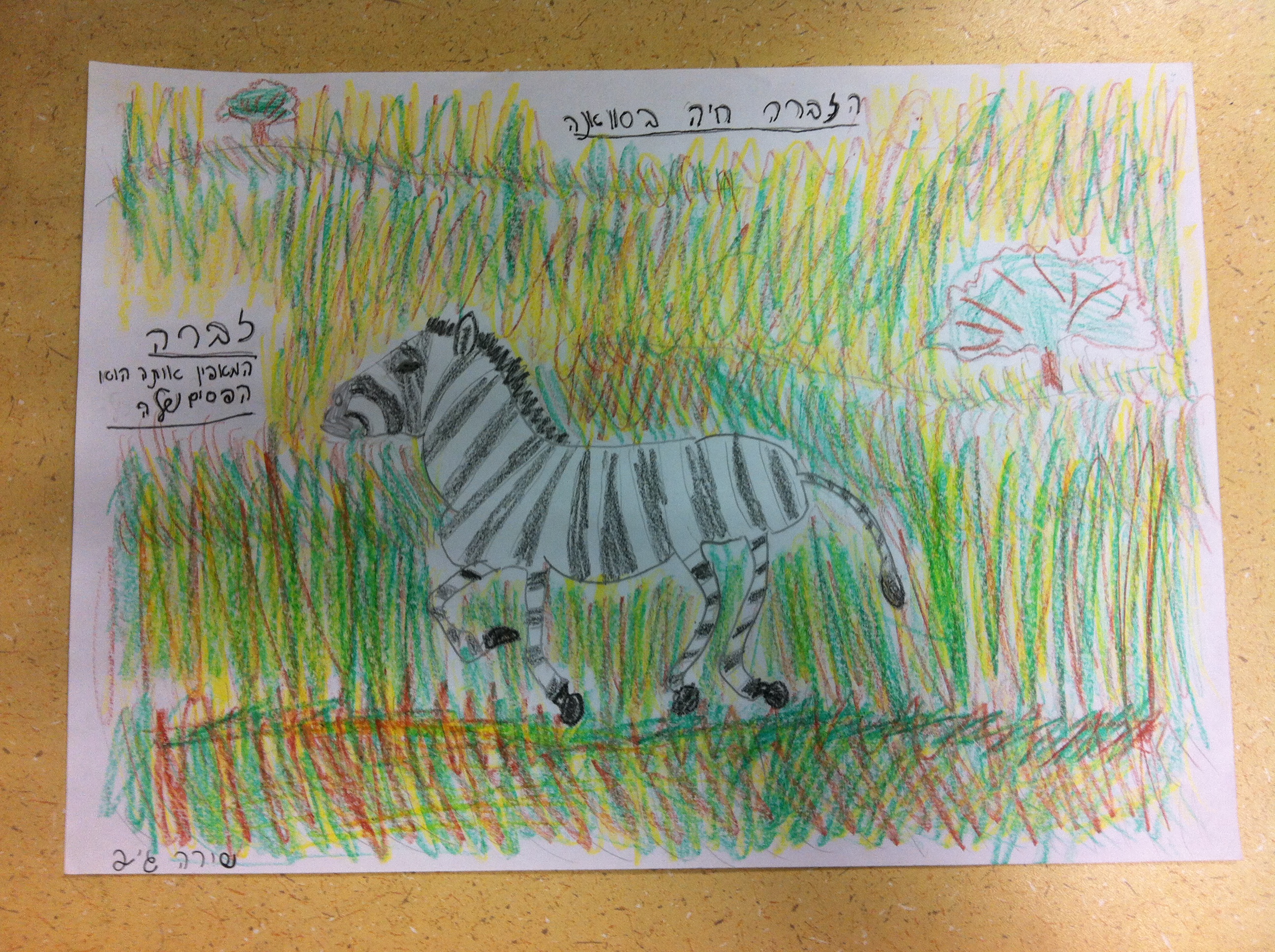 ספר מדוע ולמה של כיתה ג’2 by hagar - Illustrated by תלמידי כיתה ג