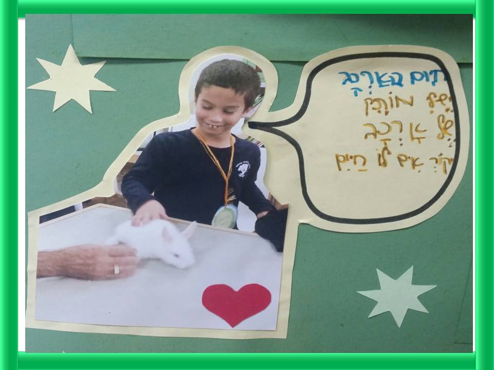 חוויות וחיוכים בחוג בעלי חיים כיתה ב’ 2 by yafitseadya - Illustrated by כתבו תלמידי כיתה ב