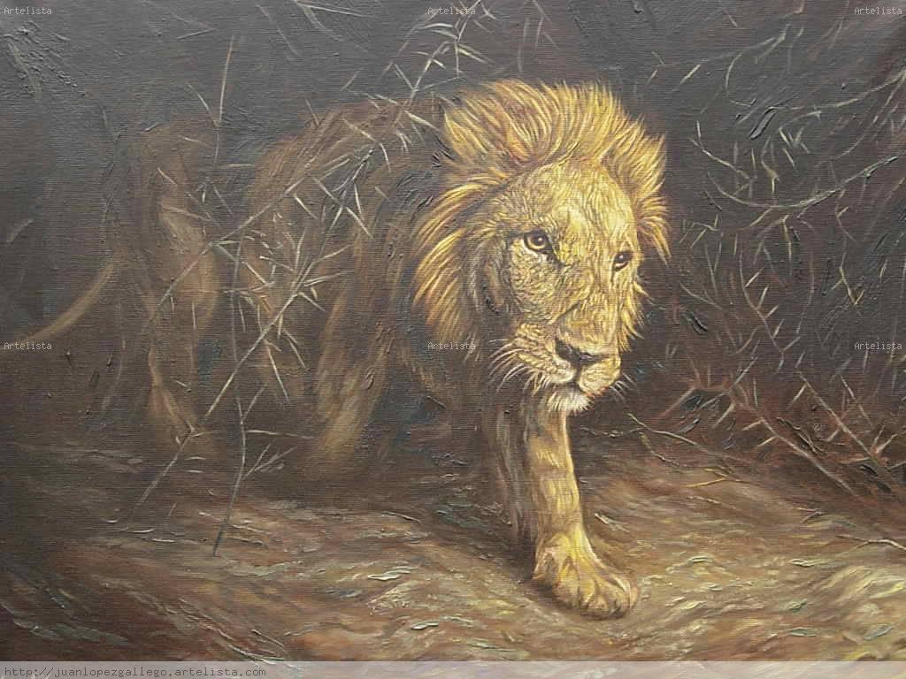 The Hero and the Lion by Mirian de Bianchetti - Illustrated by Rosario - Ourboox.com