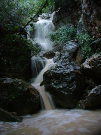 הכרמל והגלבוע by ella ner - Ourboox.com