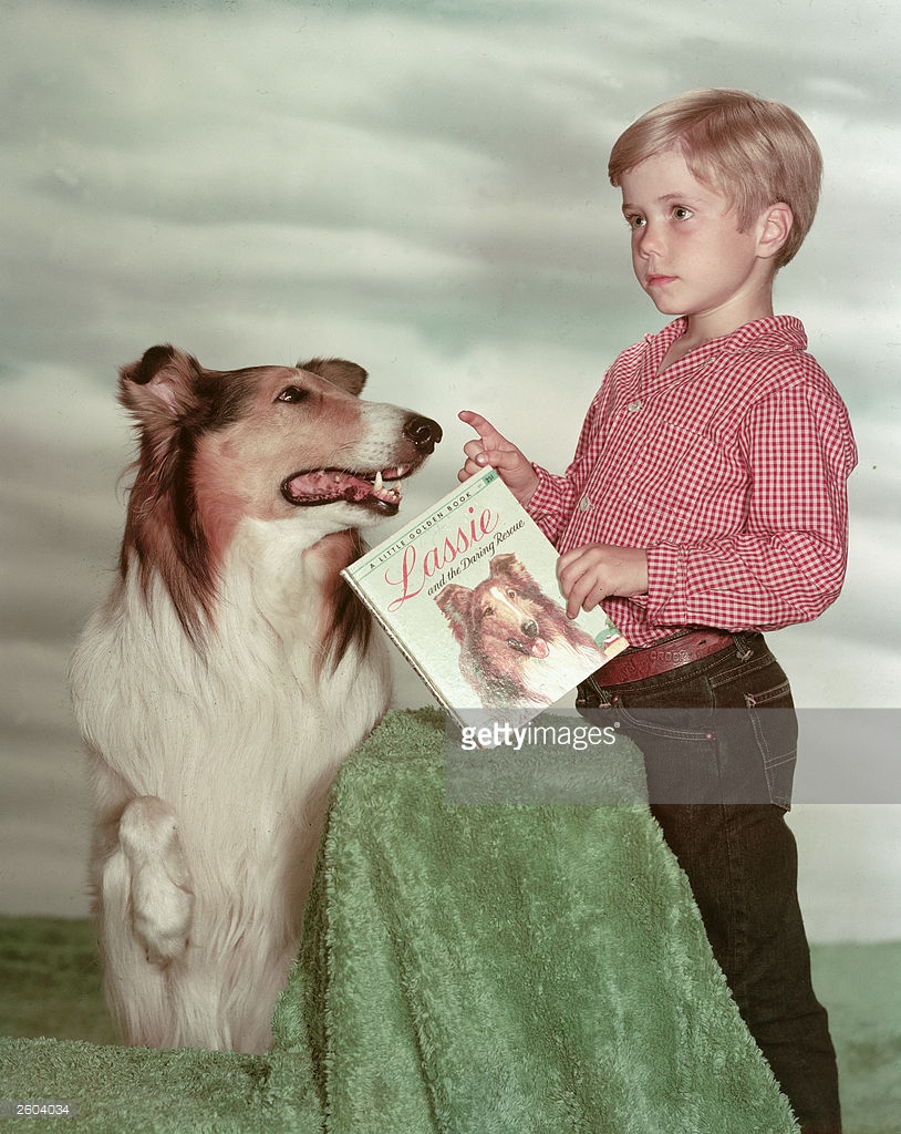 לאסי חוזרת הביתה by בן חלפון - כיתה ה