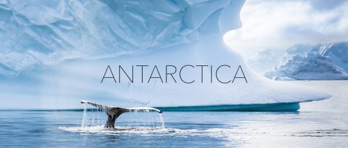 The Amazing Antarctica by Walker k - Ourboox.com