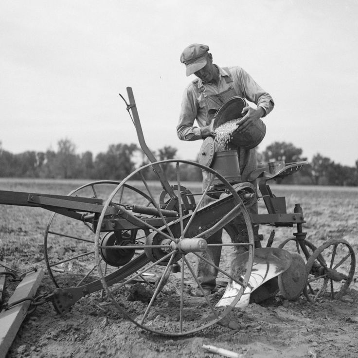 The Great Depression by Morgan Hayes - Ourboox.com