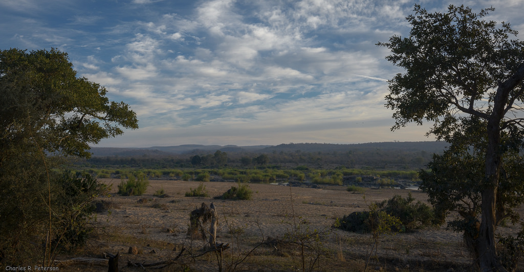 African Grasslands by Connor S - Ourboox.com