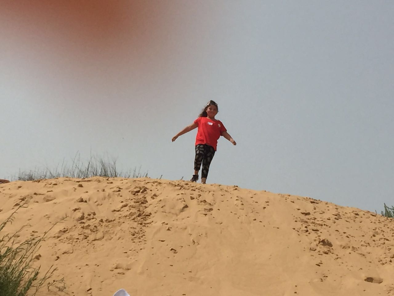 בית ספר שיזף בטיול שנתי בשמורת הטבע ניצנים by אילן  - Ourboox.com