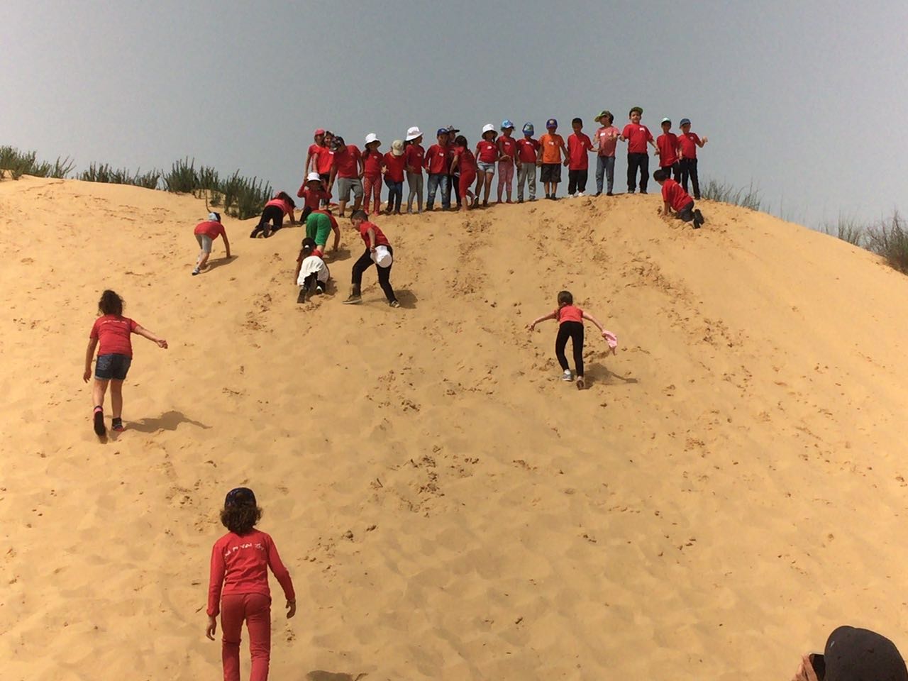 בית ספר שיזף בטיול שנתי בשמורת הטבע ניצנים by אילן  - Ourboox.com