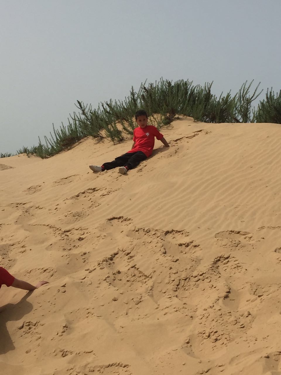 בית ספר שיזף בטיול שנתי בשמורת הטבע ניצנים by אילן  - Ourboox.com