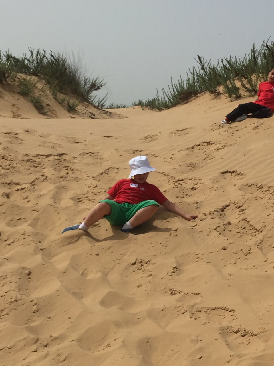 בית ספר שיזף בטיול שנתי בשמורת הטבע ניצנים by אילן  - Ourboox.com