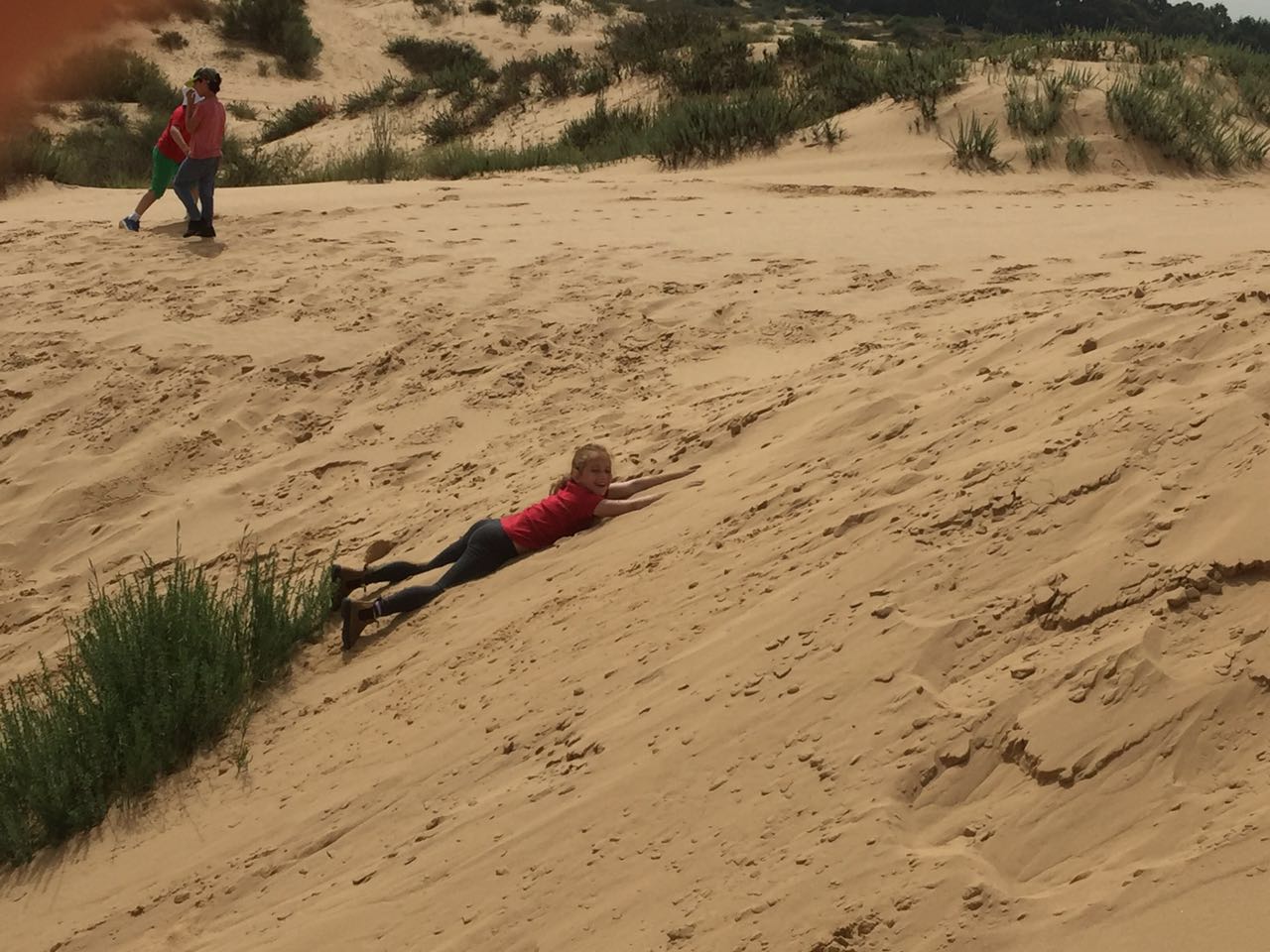 בית ספר שיזף בטיול שנתי בשמורת הטבע ניצנים by אילן  - Ourboox.com