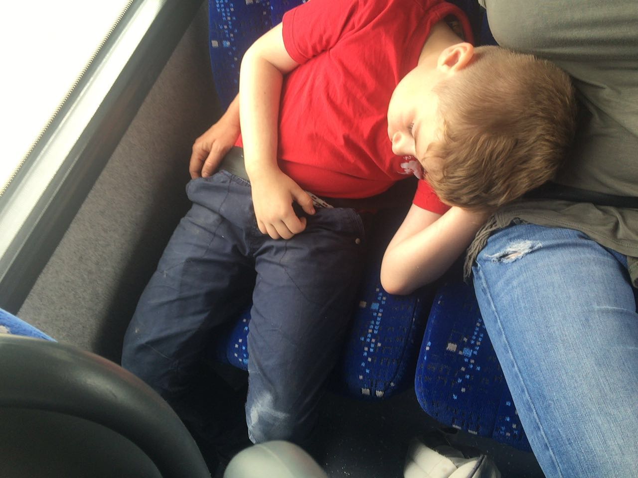 בית ספר שיזף בטיול שנתי בשמורת הטבע ניצנים by אילן  - Ourboox.com