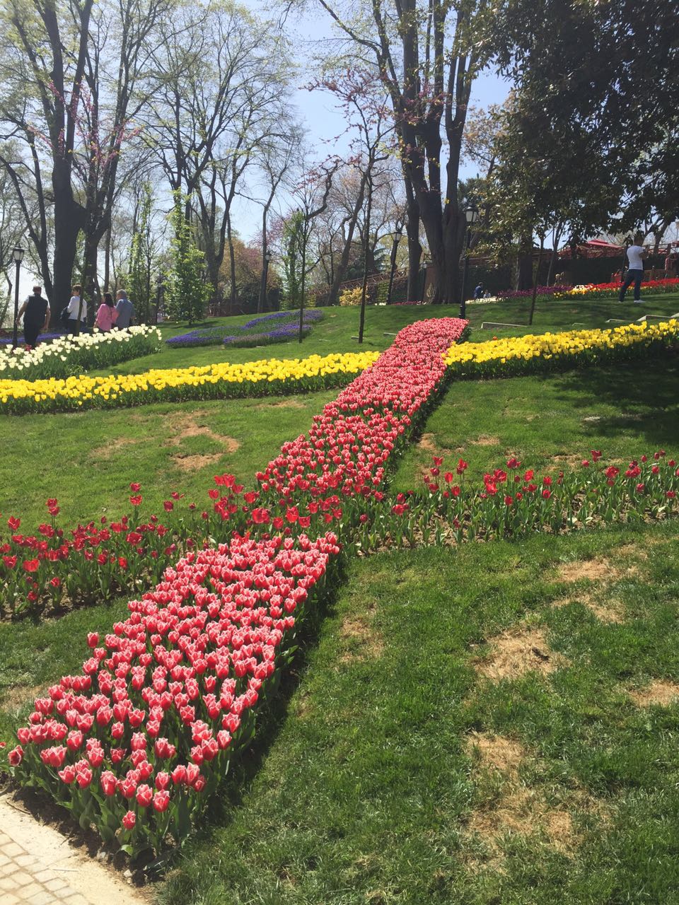 Çiçeklerdeki Renkler by Nuray CİN - Ourboox.com