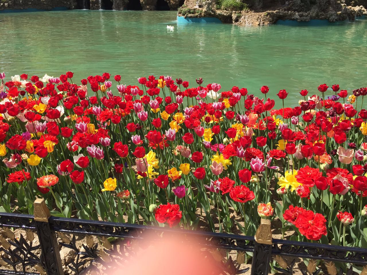 Çiçeklerdeki Renkler by Nuray CİN - Ourboox.com