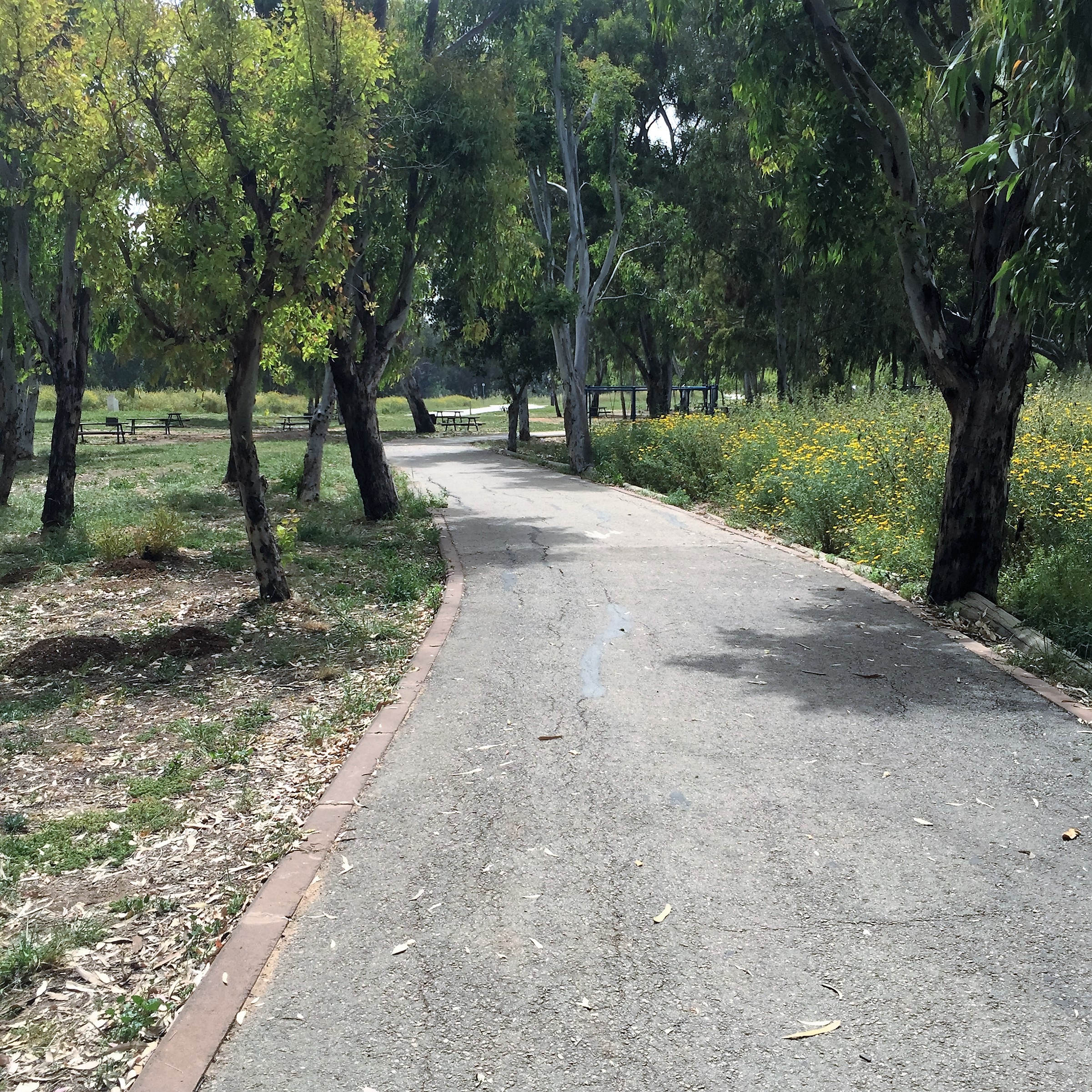 Found and Lost by Mel Rosenberg - מל רוזנברג - Ourboox.com