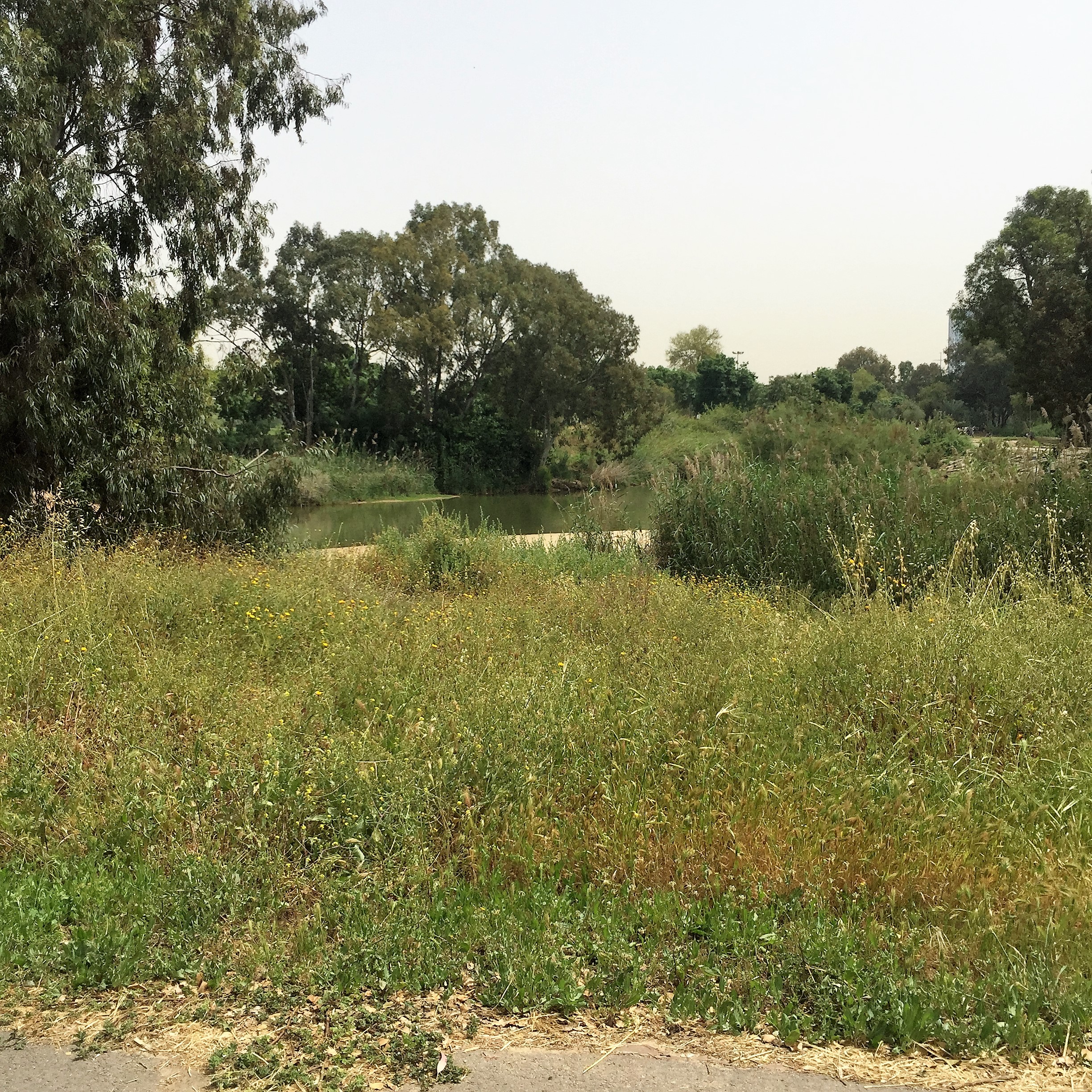 Found and Lost by Mel Rosenberg - מל רוזנברג - Ourboox.com