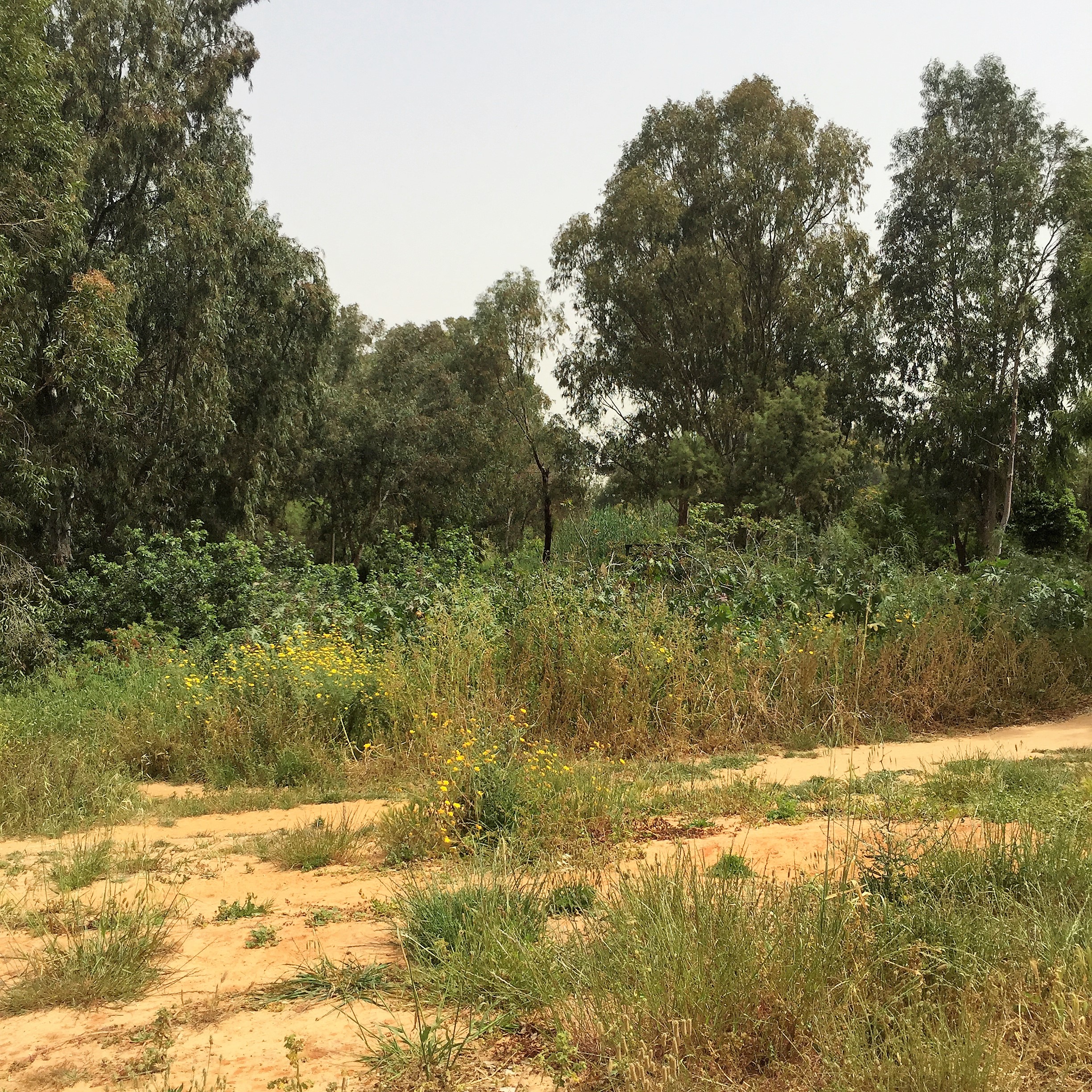 Found and Lost by Mel Rosenberg - מל רוזנברג - Ourboox.com