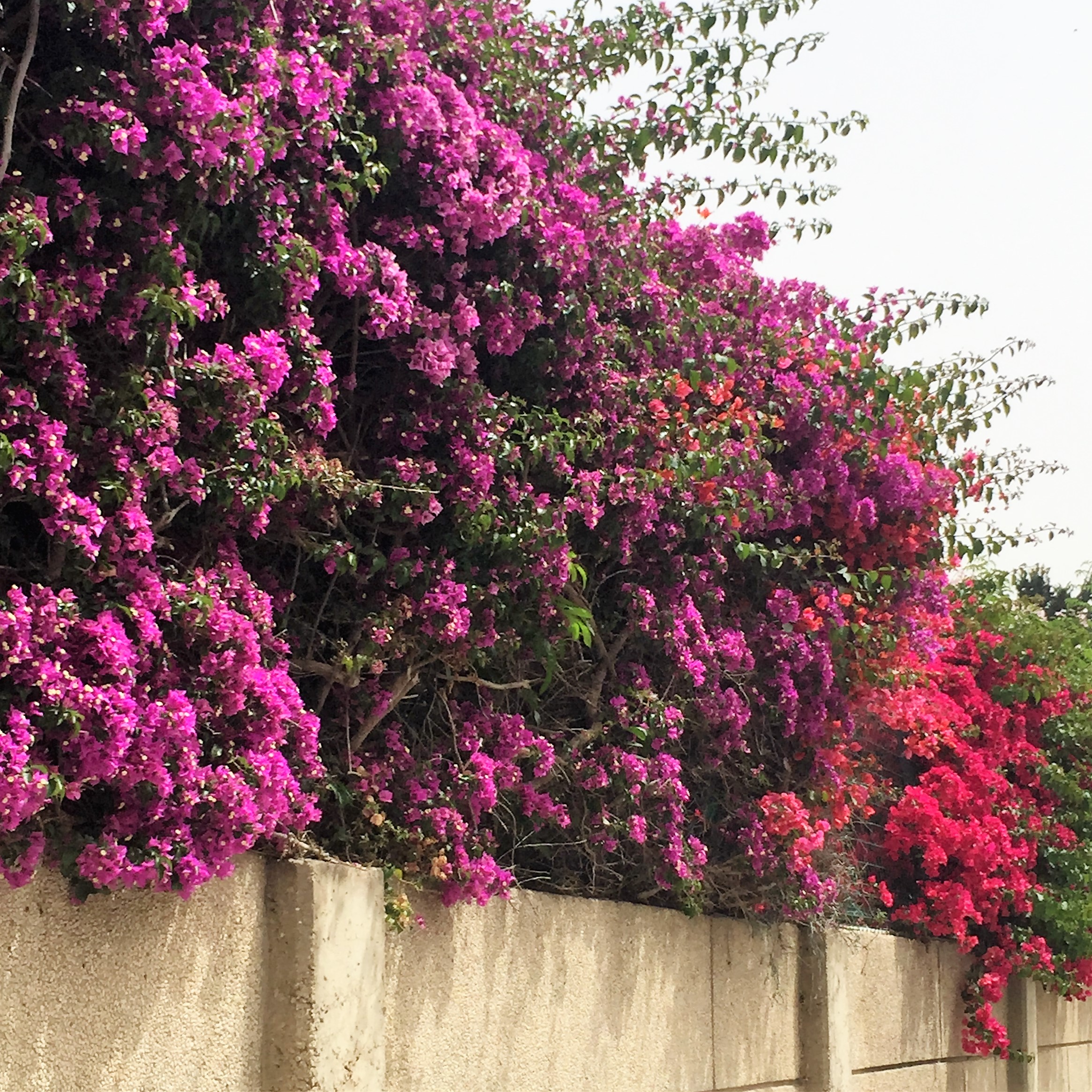 Found and Lost by Mel Rosenberg - מל רוזנברג - Ourboox.com