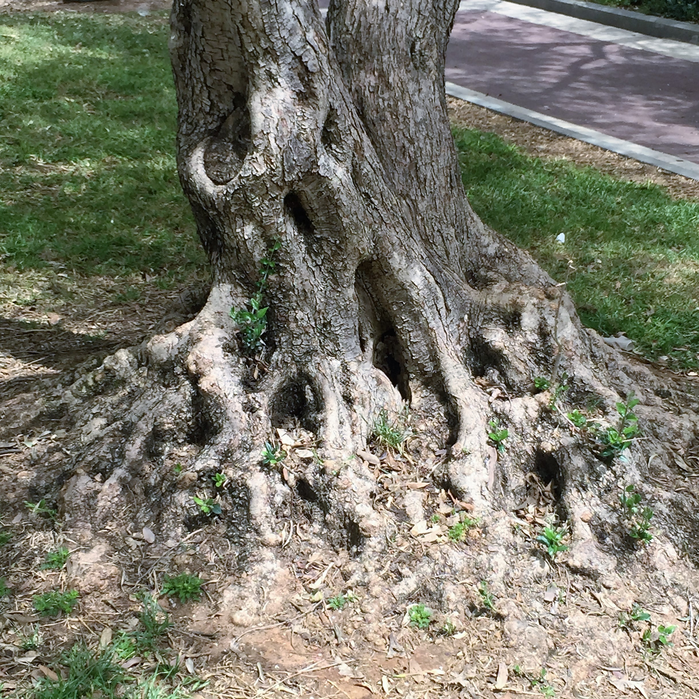 Found and Lost by Mel Rosenberg - מל רוזנברג - Ourboox.com