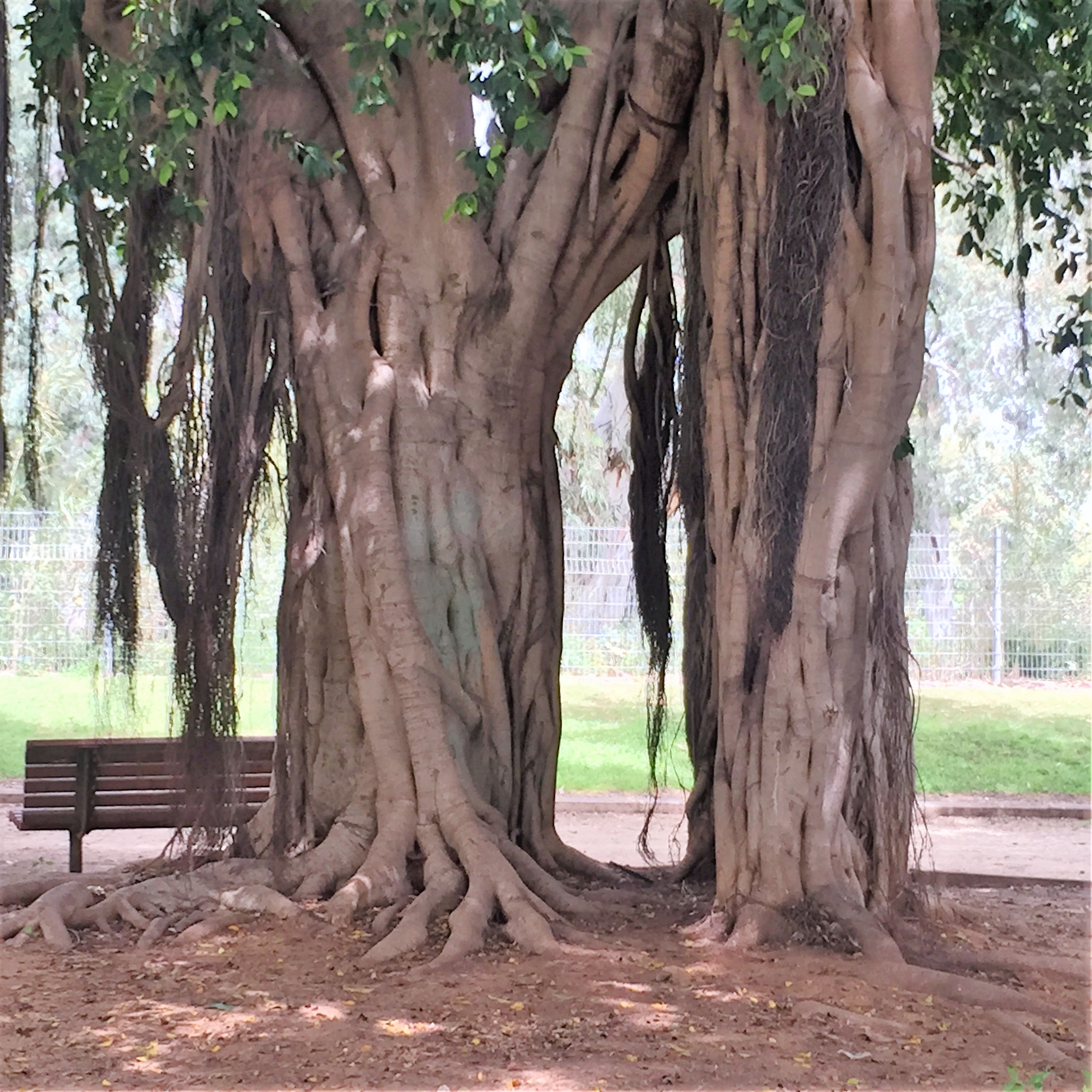 Found and Lost by Mel Rosenberg - מל רוזנברג - Ourboox.com