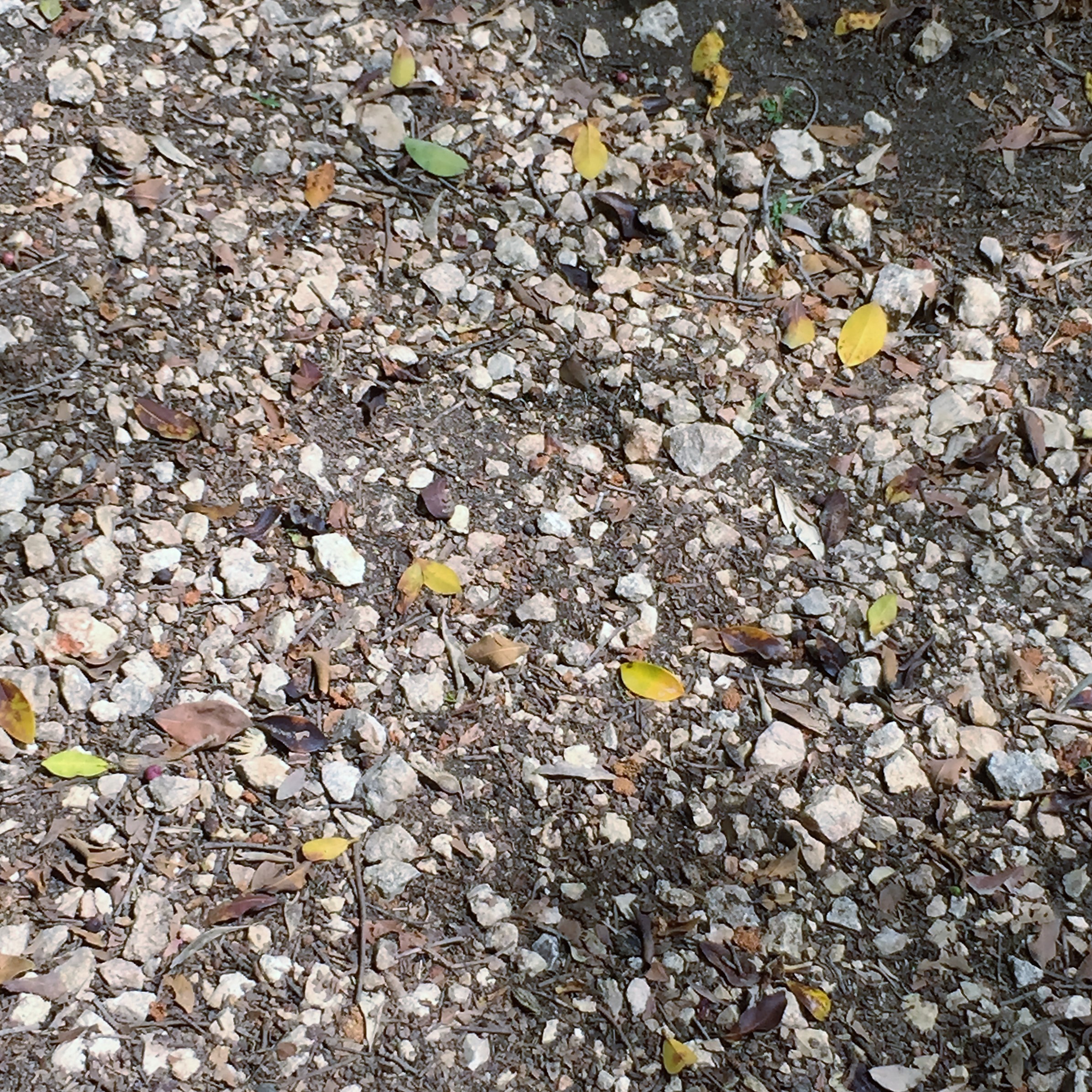 Found and Lost by Mel Rosenberg - מל רוזנברג - Ourboox.com