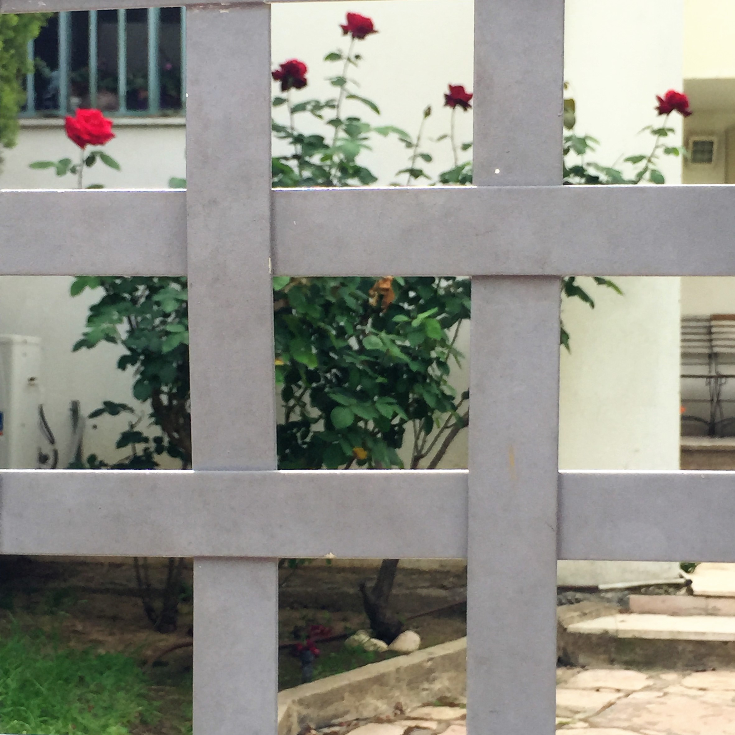 Found and Lost by Mel Rosenberg - מל רוזנברג - Ourboox.com