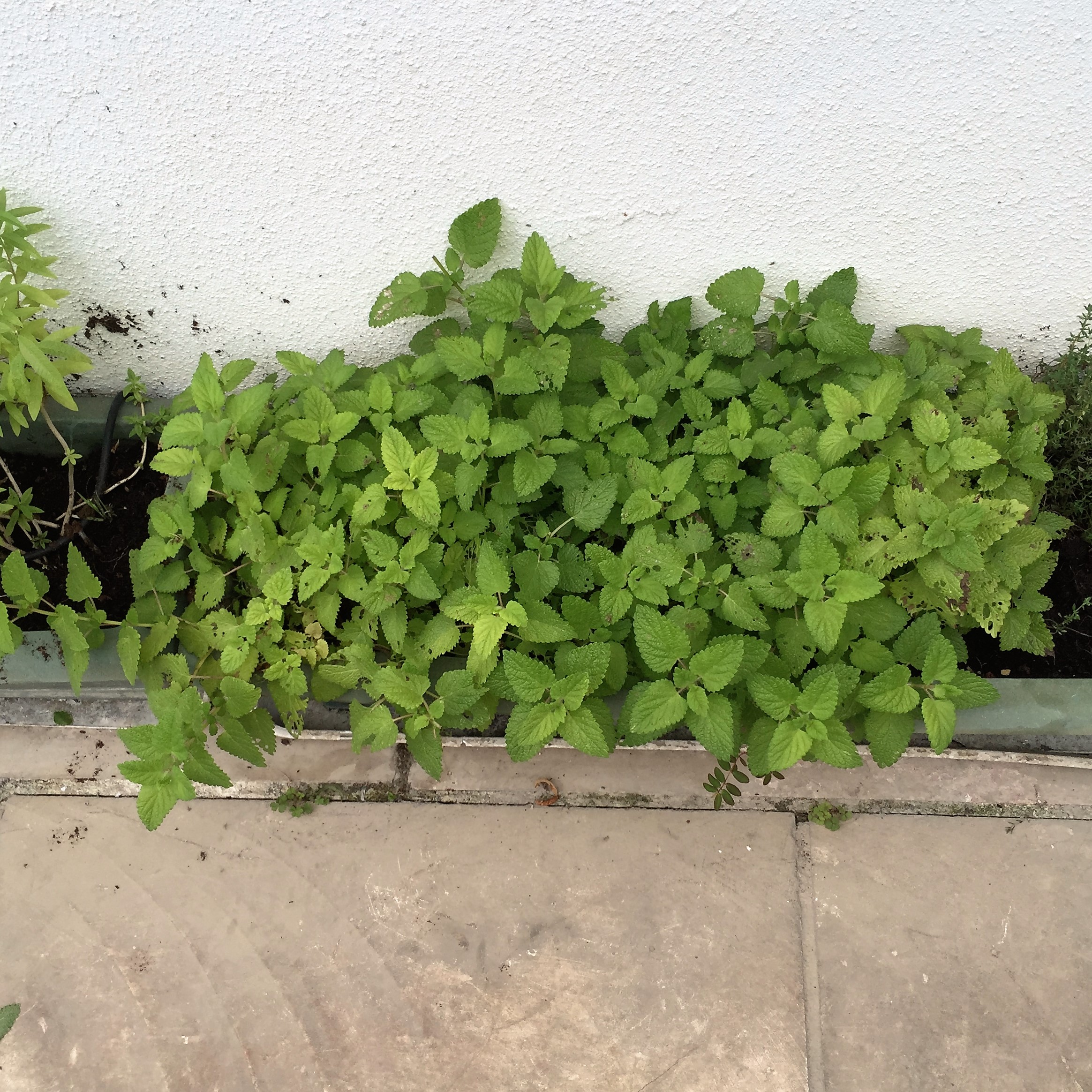 Religion by Dimitra Iordanidou - Ourboox.com