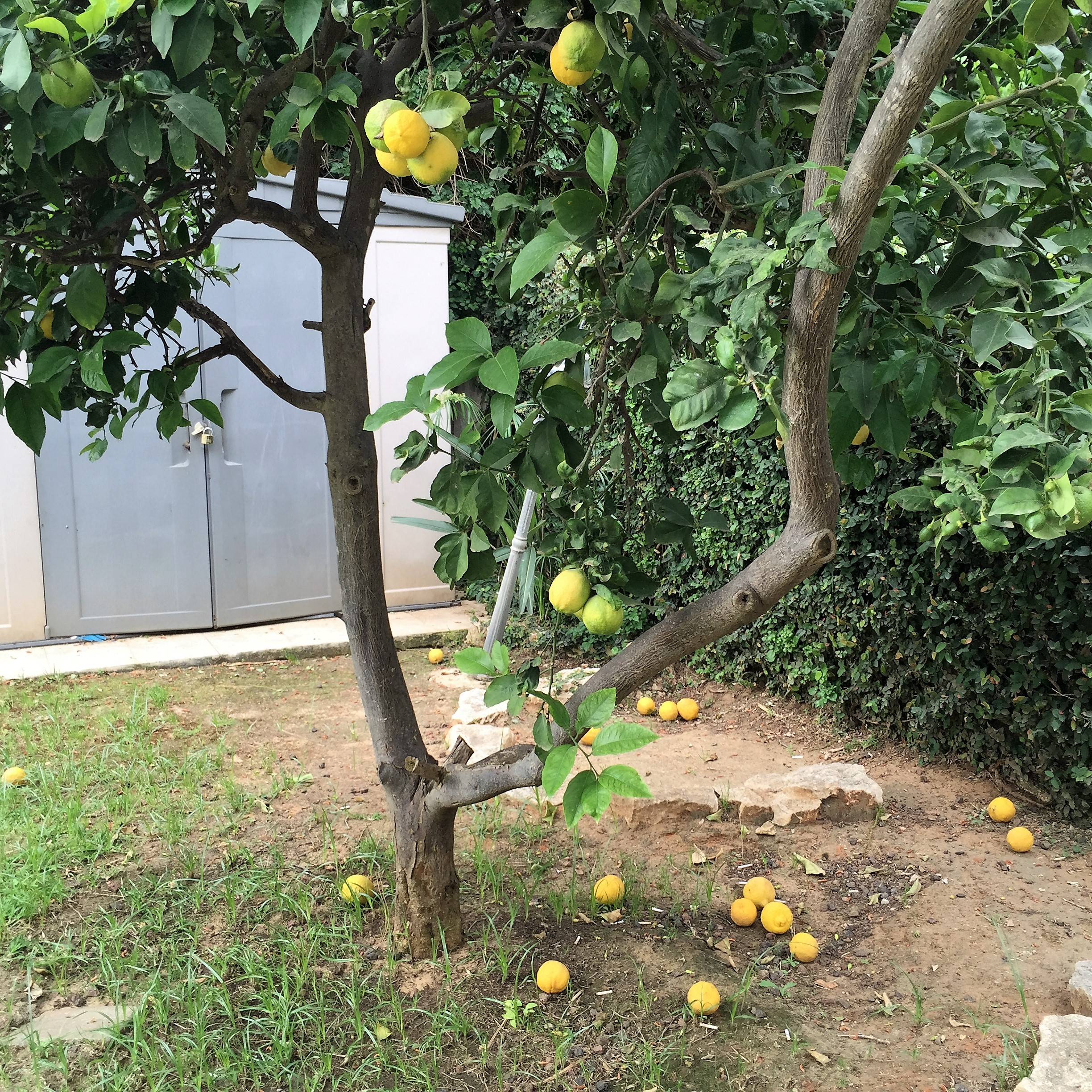 Religion by Dimitra Iordanidou - Ourboox.com