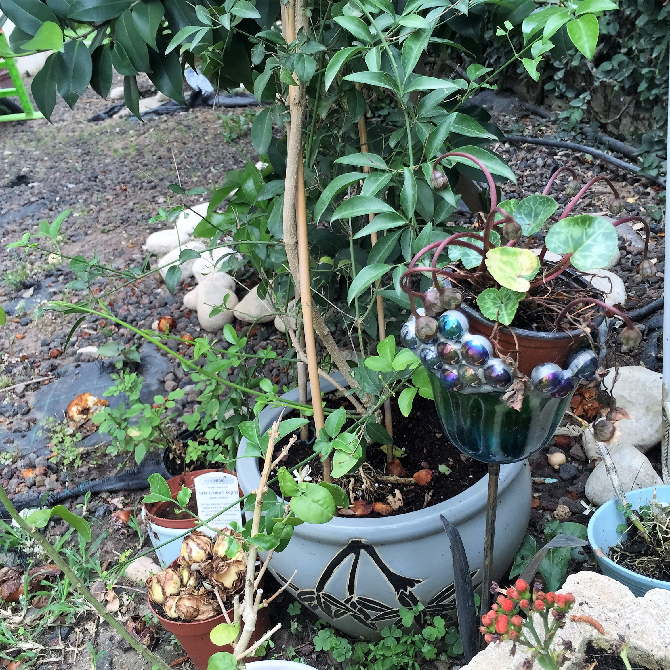 Religion by Dimitra Iordanidou - Ourboox.com