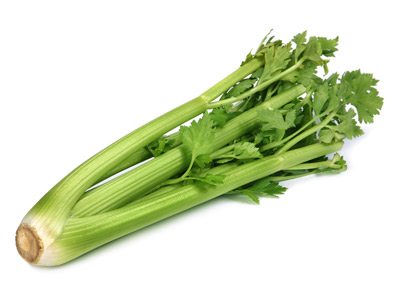 הגדה של פסח by ori yefet - Illustrated by אורי יפת וליעד זיו - Ourboox.com